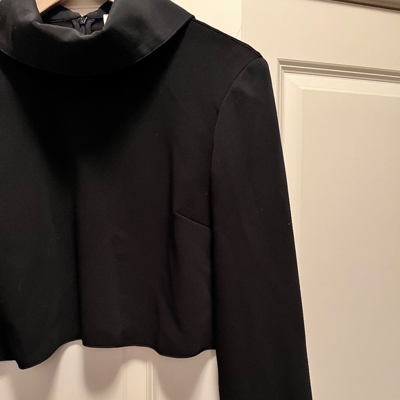 Babaton. Size XS Women's. Black faux silk crop top, high collar blouse. - Picture 3 of 5